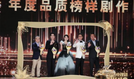 电视剧品质盛典,璀璨星光下的品质盛宴