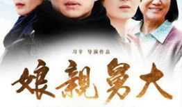 电视剧娘亲舅大剧情介绍,亲情纠葛，命运交织的家族传奇