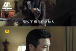 官场现形记电视剧20,权谋与人性交织的官场风云