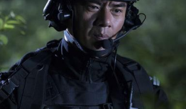 特警力量电视剧,铁血铸忠诚，守护平安路