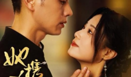 电视剧小花,烽火岁月里的青春传奇