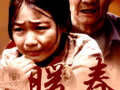 2008年电视剧,时光记忆中的光影岁月