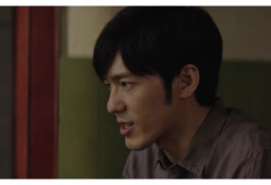 真相 电视剧,揭开迷雾，探寻真相的惊心动魄之旅