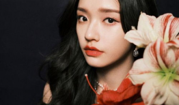 女明星与网红,时尚界的全新风向标