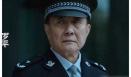 国安的电视剧,揭秘国家安全战线上的英雄传奇