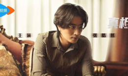 真相 电视剧,揭开迷雾，探寻真相的惊心动魄之旅