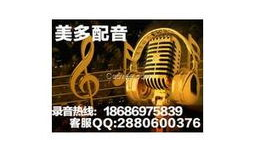 经典录音国产精品,传承与创新的声音之旅
