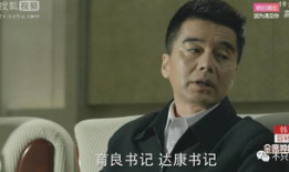 官场现形记电视剧20,权谋与人性交织的官场风云