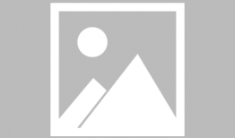 刃牙动漫,激战巅峰，热血格斗的传奇之旅