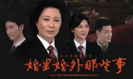 婚内婚外那些事 电视剧,情感漩涡中的爱恨纠葛