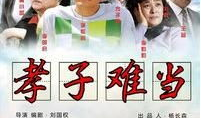 孝子电视剧演员表,演绎感人至深的亲情故事