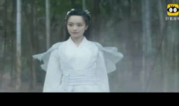 穿越到宋朝的电视剧,穿越时空的传奇人生