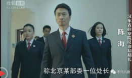 官场现形记电视剧20,权谋与人性交织的官场风云